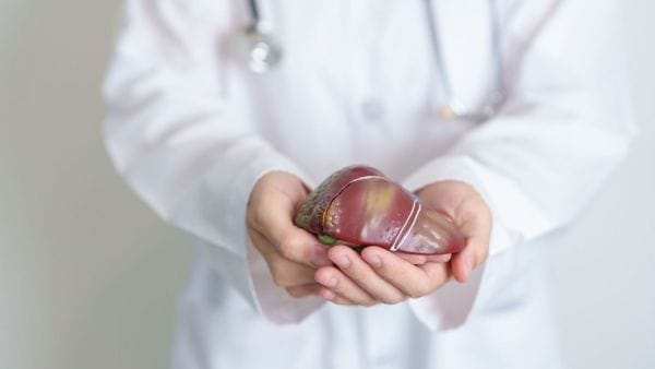A healthcare professional in a white coat holding a realistic model of a human liver, symbolizing the direct and indirect expenses associated with liver cancer treatment.