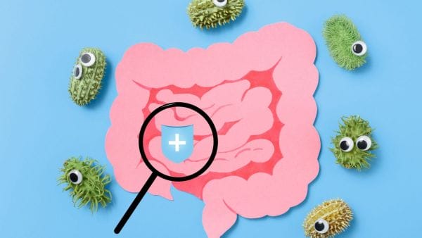  A playful and creative representation of stomach health, with a pink paper cutout of the digestive tract focused under a magnifying glass that reveals a shield with a plus sign, symbolizing protection or treatment. Surrounding the intestines are quirky, green germ-like figures with googly eyes, suggesting the presence of harmful bacteria or illness. This image is likely associated with content discussing the financial aspects of safeguarding against or addressing stomach cancer, indicating an interest in the economics of stomach cancer care.