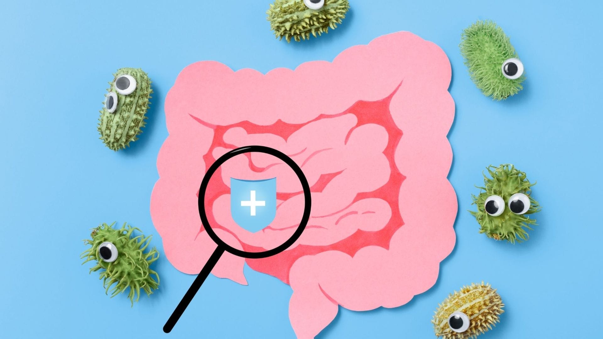  A playful and creative representation of stomach health, with a pink paper cutout of the digestive tract focused under a magnifying glass that reveals a shield with a plus sign, symbolizing protection or treatment. Surrounding the intestines are quirky, green germ-like figures with googly eyes, suggesting the presence of harmful bacteria or illness. This image is likely associated with content discussing the financial aspects of safeguarding against or addressing stomach cancer, indicating an interest in the economics of stomach cancer care.