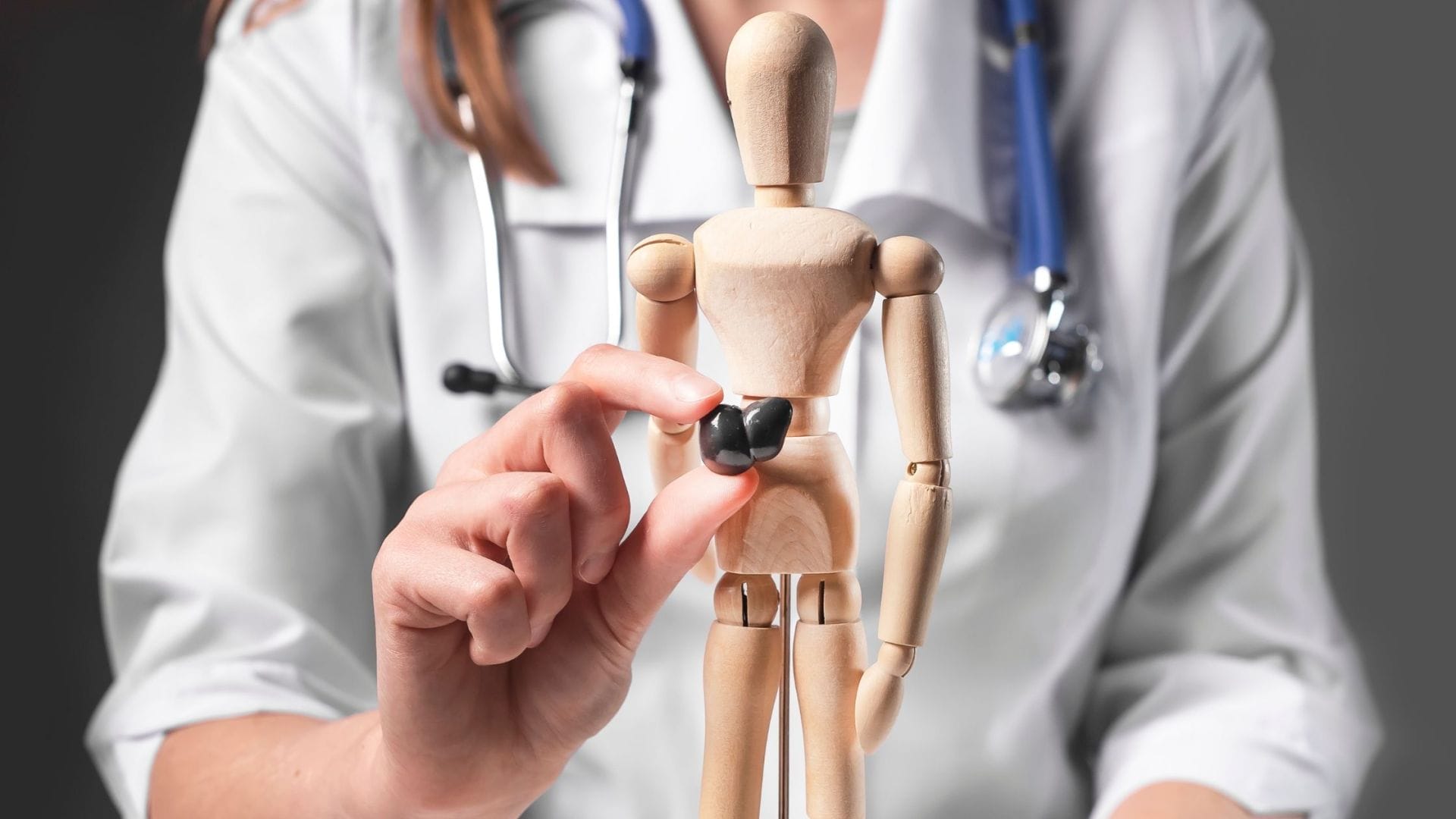 A medical professional holding an anatomical wooden mannequin with a black spot on its upper right abdomen, representing a liver, to discuss tips for managing liver cancer treatment costs.