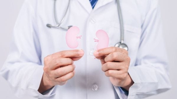 A medical professional, clad in a white coat with a stethoscope around the neck, holds two translucent pink kidney models in their hands. The image can be associated with advice on managing expenses related to renal cancer treatments, suggesting a focus on patient education and financial planning in healthcare.